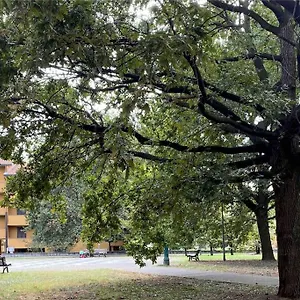 Grace's House - Milan & Rho Fiera Vittuone
